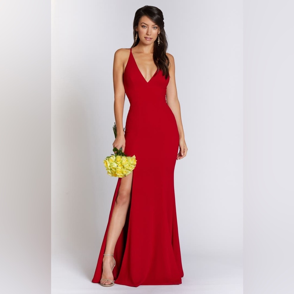 ⚡️NWT!⚡️Dress the Population Iris Slit Crepe Gown Size Medium in Garnet